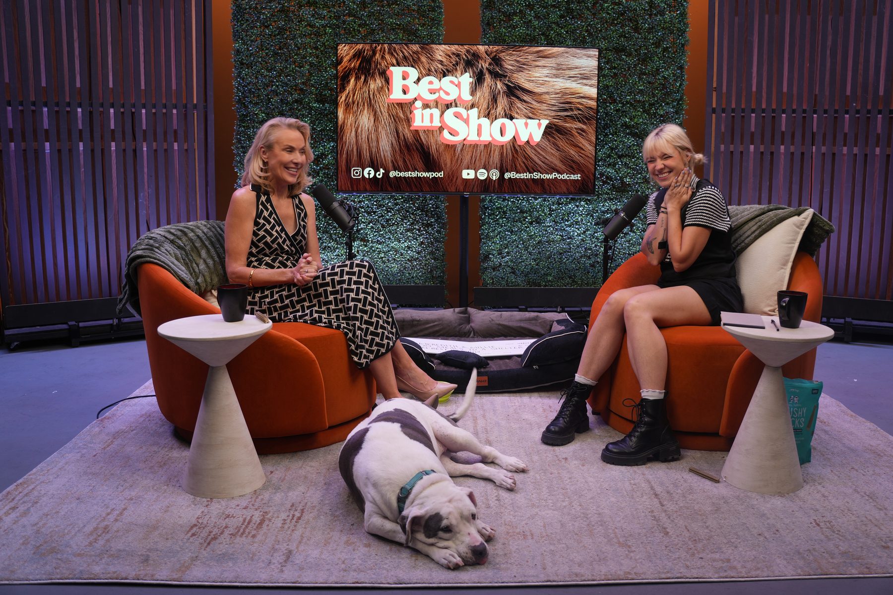 On the Best In Show set — Mimi and her guest in conversation on warm chairs, a dog asleep on the rug between them